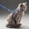 A fluffy gray cat wearing a blue nylon pet harness and leash, sitting on a light gray surface.