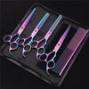 A set of professional stainless steel pet grooming scissors with iridescent blades displayed in a black case.