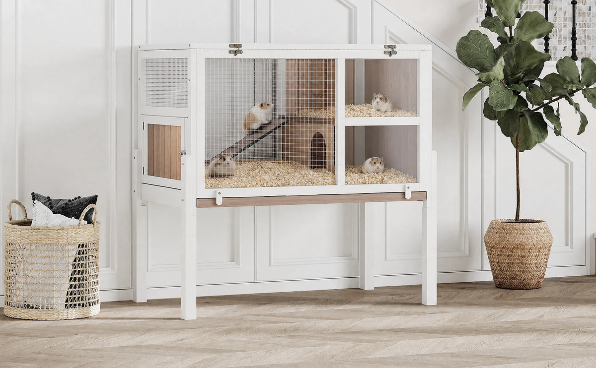 A white two-story wooden guinea pig cage with a stand and ramp, featuring a wire enclosure and bedding.