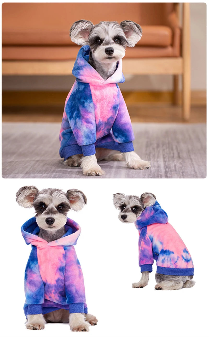 A small dog wearing a tie-dye fleece hoodie in shades of pink, blue, and purple.
