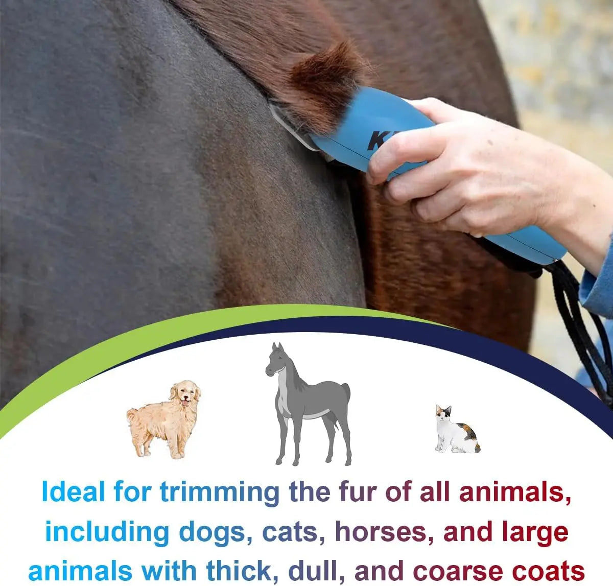 Une main utilise une lame de toilettage bleue sur le pelage d'un cheval brun.