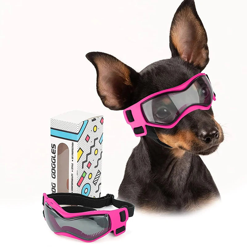 Ein dunkelbrauner Hund trägt leuchtpinke, verstellbare UV-Schutz-Sonnenbrillen.