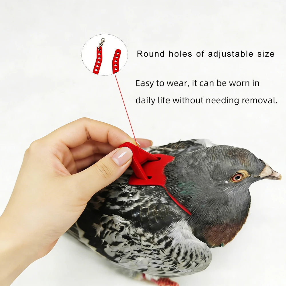 Eine Hand justiert eine runde Öffnung an einem roten Papageihalteset mit Geschirr und Leine für einen Vogel.