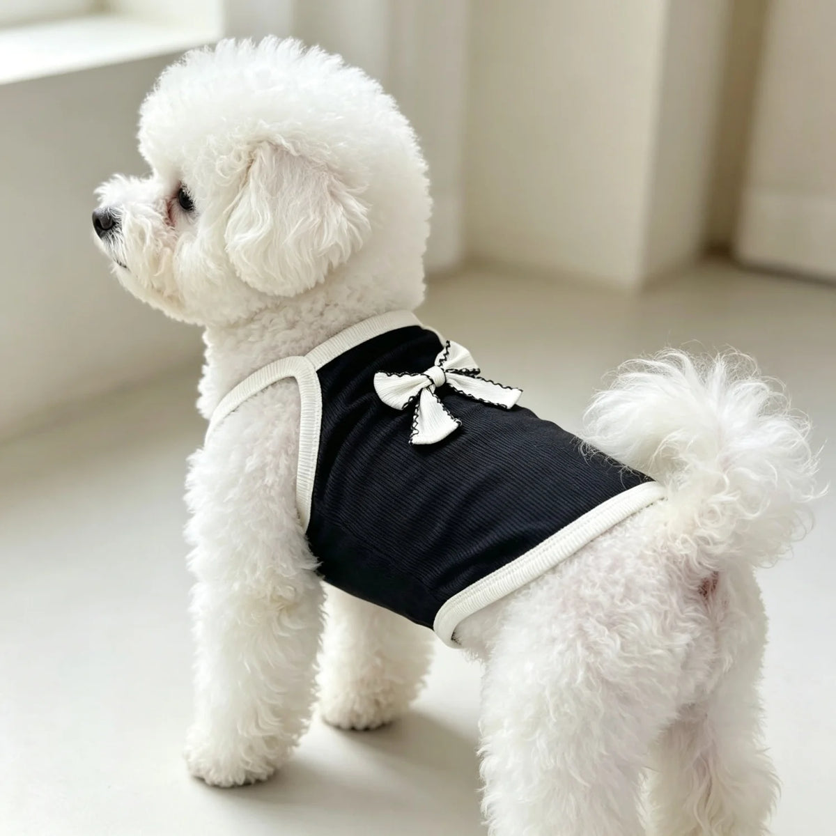 A fluffy white dog wearing a black ribbed vest with a white bow knot.