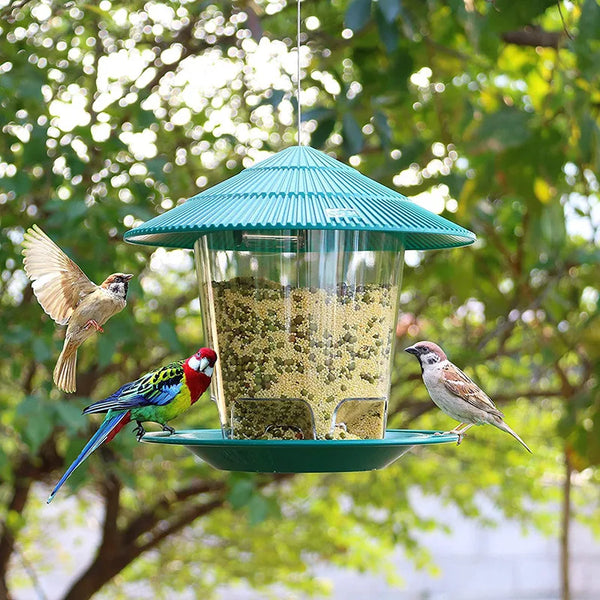 Ein türkisfarbener Vogelfutterspender mit einer klaren Glasschale hängt in der Baumkrone und lockt kleine Vögel an.