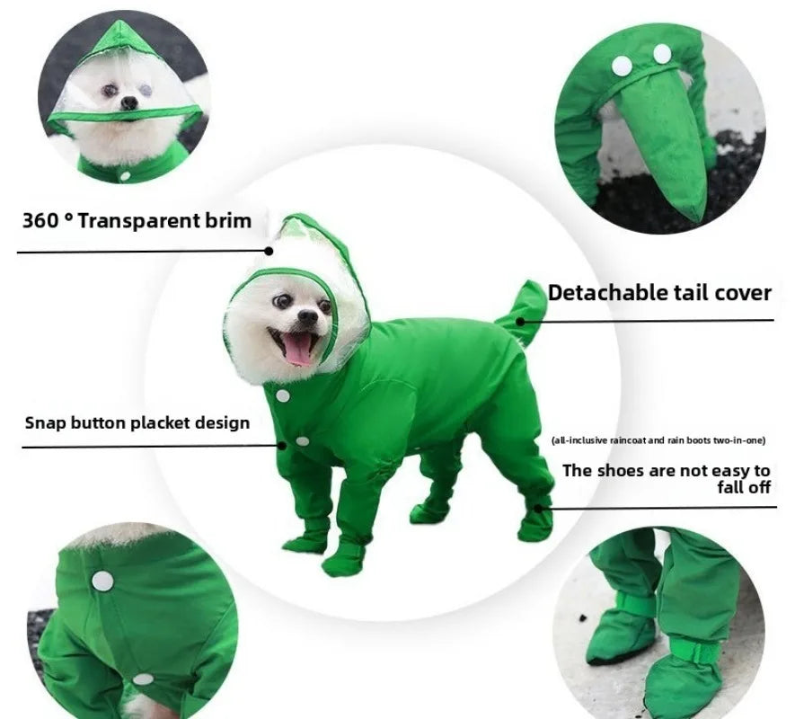 Veste imperméable verte pour chiens de petite taille avec bord transparent et queue amovible