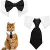 A cat wearing a white collar with a black bow tie and a black necktie, next to the separate accessories.