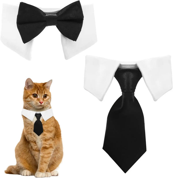 A cat wearing a white collar with a black bow tie and a black necktie, next to the separate accessories.