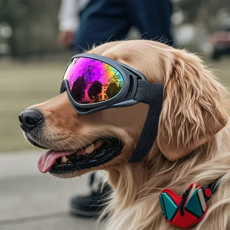 A golden retriever wearing black anti-glare pet sunglasses outdoors.