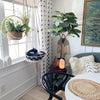 A bohemian macrame cat hammock bed for pet decor hangs by a window, decorated with plants and natural fibers.