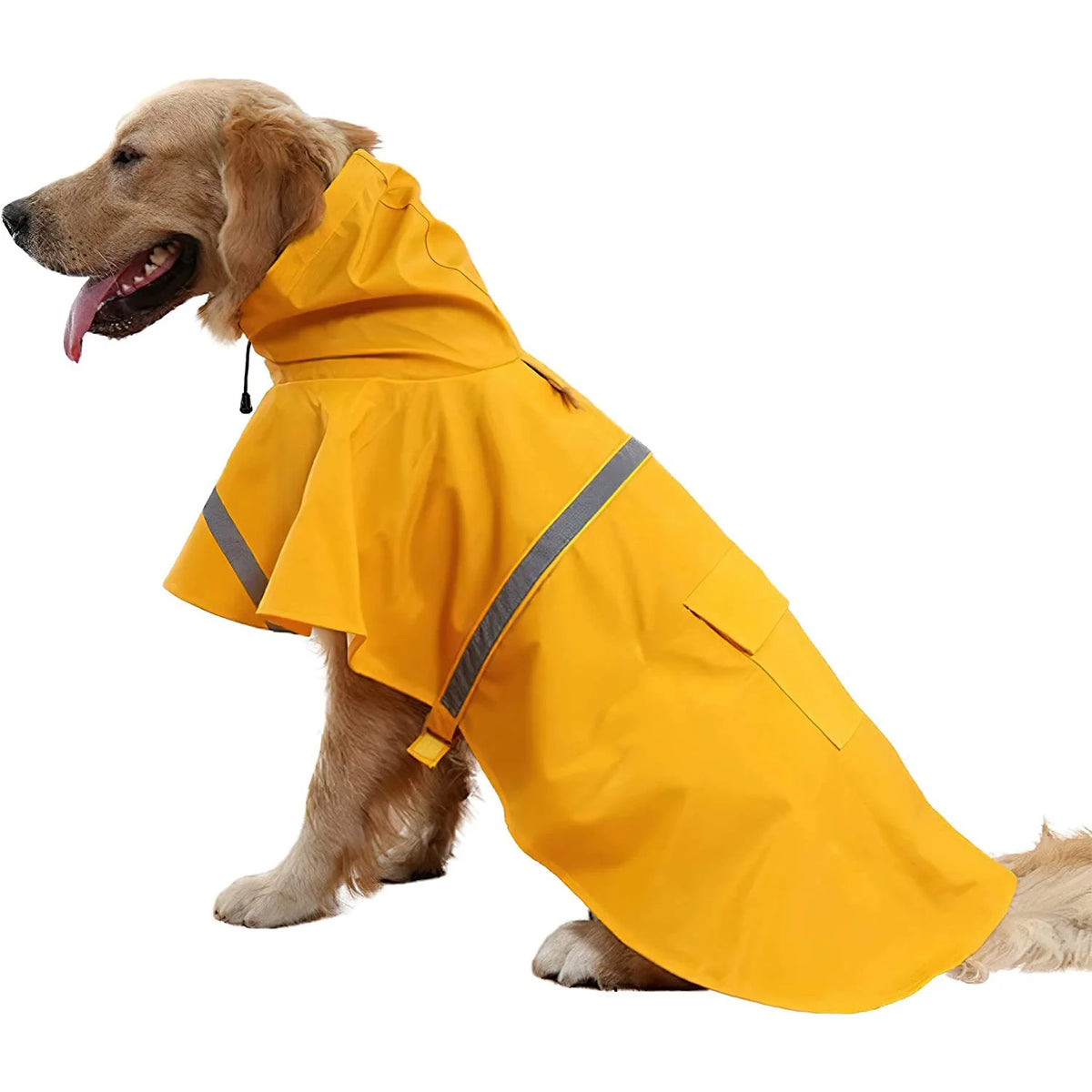 Un golden retriever vistiendo un impermeable amarillo brillante para protección.