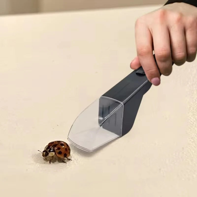 A hand holds a clear plastic portable handheld insect catcher over a small ladybug on a light surface.