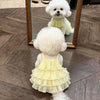 A fluffy white dog wearing a yellow tiered strap dress is reflected in a mirror.