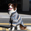 A brown and white dog wearing a blue and gray patterned thermal fleece sweater.