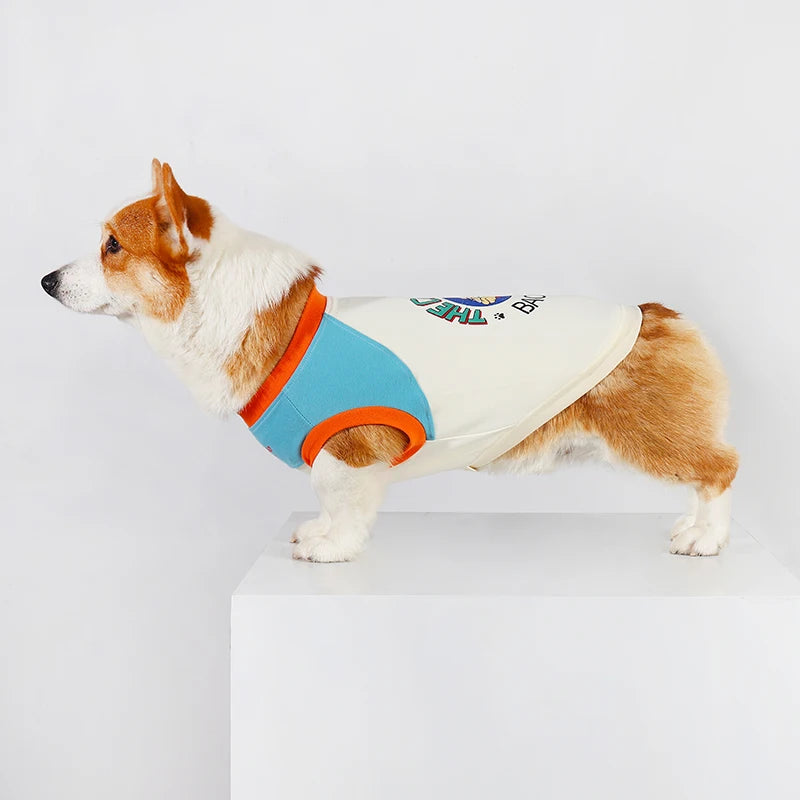 A small dog wearing a light cream vest with blue trim and orange accents.
