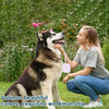A young woman is holding a purple silicone pouch for dog treats while a husky sits beside her in a green outdoor setting.