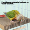 A small, colorful parrot is perched on a brown corrugated bird perch stand.
