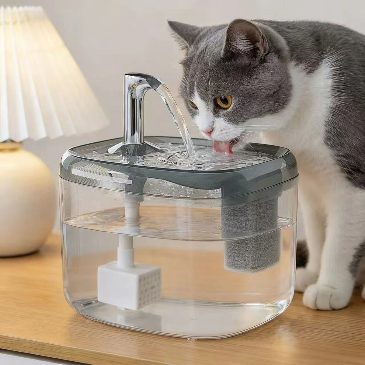 Un chat gris et blanc boit de l'eau dans une fontaine à eau automatique pour animaux.