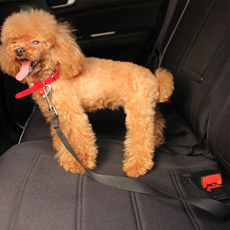 A fluffy golden retriever puppy is secured in a black car seat using a red retractable dog car seatbelt tether.