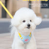A white poodle wearing a blue and white striped color block dog harness and yellow leash outdoors.