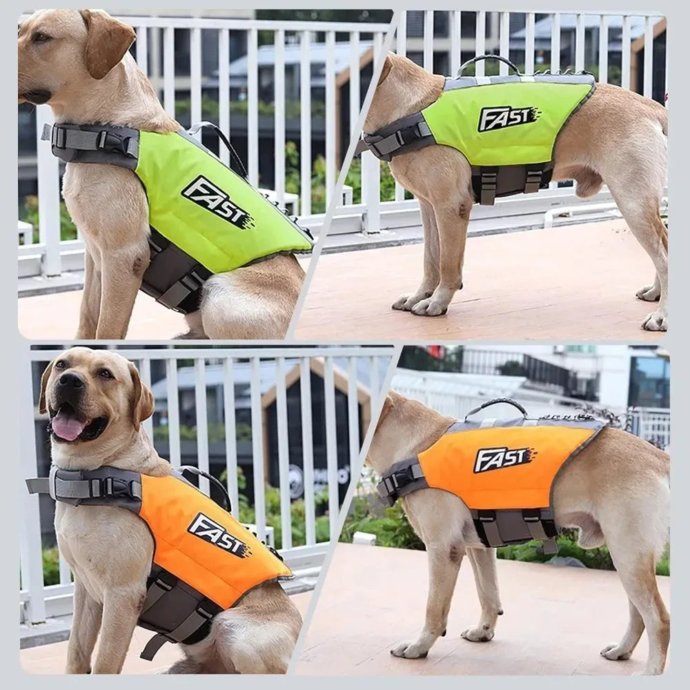 Un perro vistiendo un chaleco salvavidas verde brillante y naranja caminando al aire libre.
