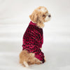 A small, light-colored dog wearing a red leopard print pajama top and matching bottoms.