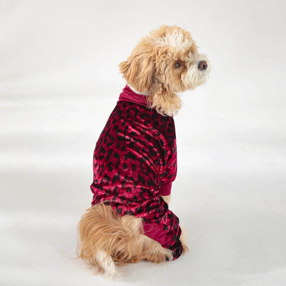 A small, light-colored dog wearing a red leopard print pajama top and matching bottoms.