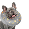 Un perro gris vistiendo un collar inflable con estampados de huellas amarillas.