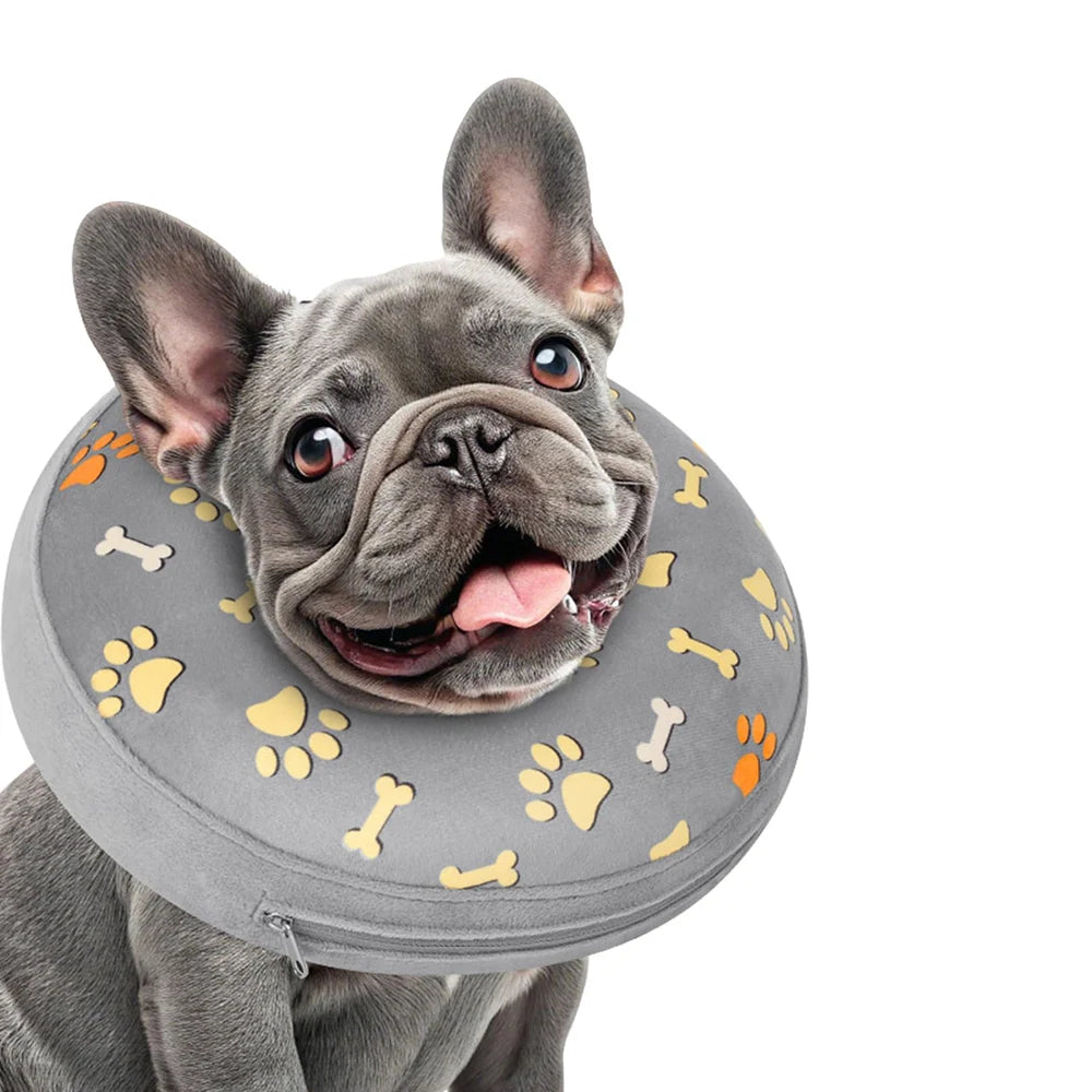 Un perro gris vistiendo un collar inflable con estampados de huellas amarillas.