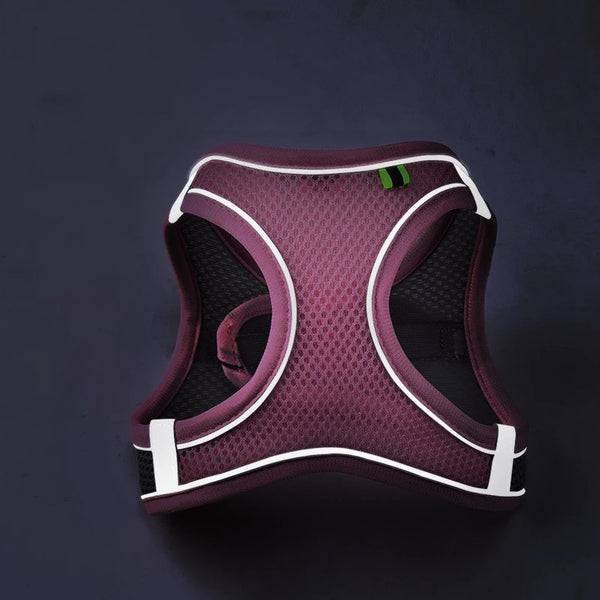 A purple reflective adjustable pet harness set for dogs and cats shown against a dark background.