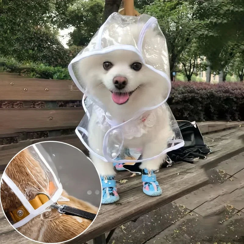 Un chien blanc portant un imperméable en plastique transparent et des bottes bleues, assis sur une surface en bois.