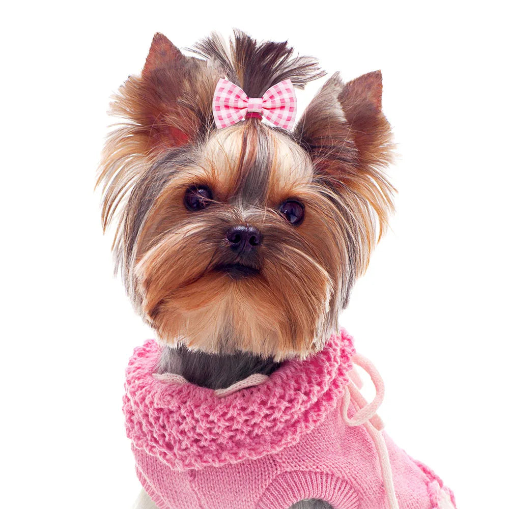 Ein kleiner braun-schwarzer Hund mit rosa Schleife und rosa Strickpullover.
