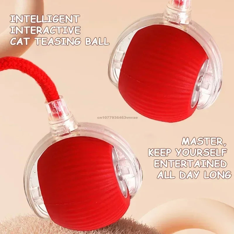 A red intelligent interactive cat teasing ball is shown in various views, highlighting its design for entertainment.