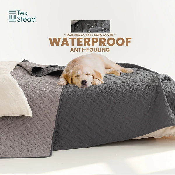 A light-colored dog is resting on a gray waterproof pet mat or sofa cover.