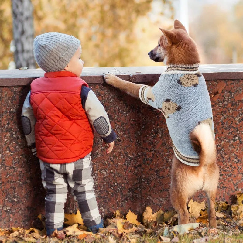A small dog stands next to a wooden barrier looking at a person, wearing a gray knit sweater with a bear pattern.