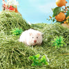 Un hamster blanc se repose dans un lit de foin de Timothy vert avec de petites plantes vertes.