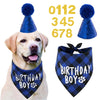 Un golden retriever portant un bandana bleu à carreaux et un bonnet pompon bleu, avec les numéros 0112 345 678 à proximité.