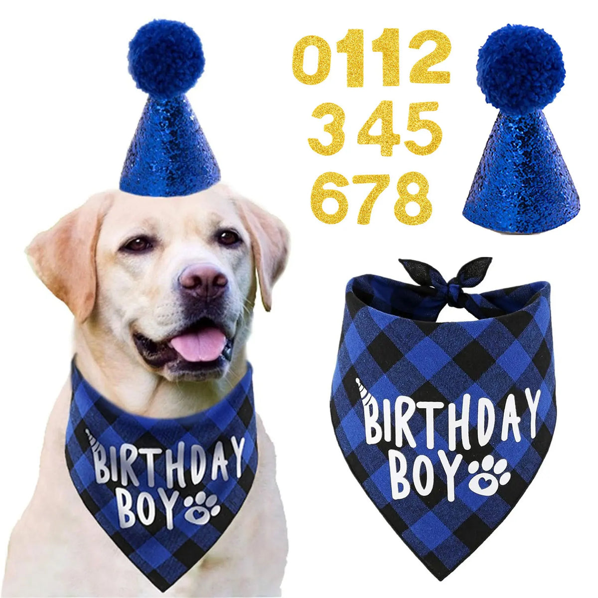 Un golden retriever portant un bandana bleu à carreaux et un bonnet pompon bleu, avec les numéros 0112 345 678 à proximité.