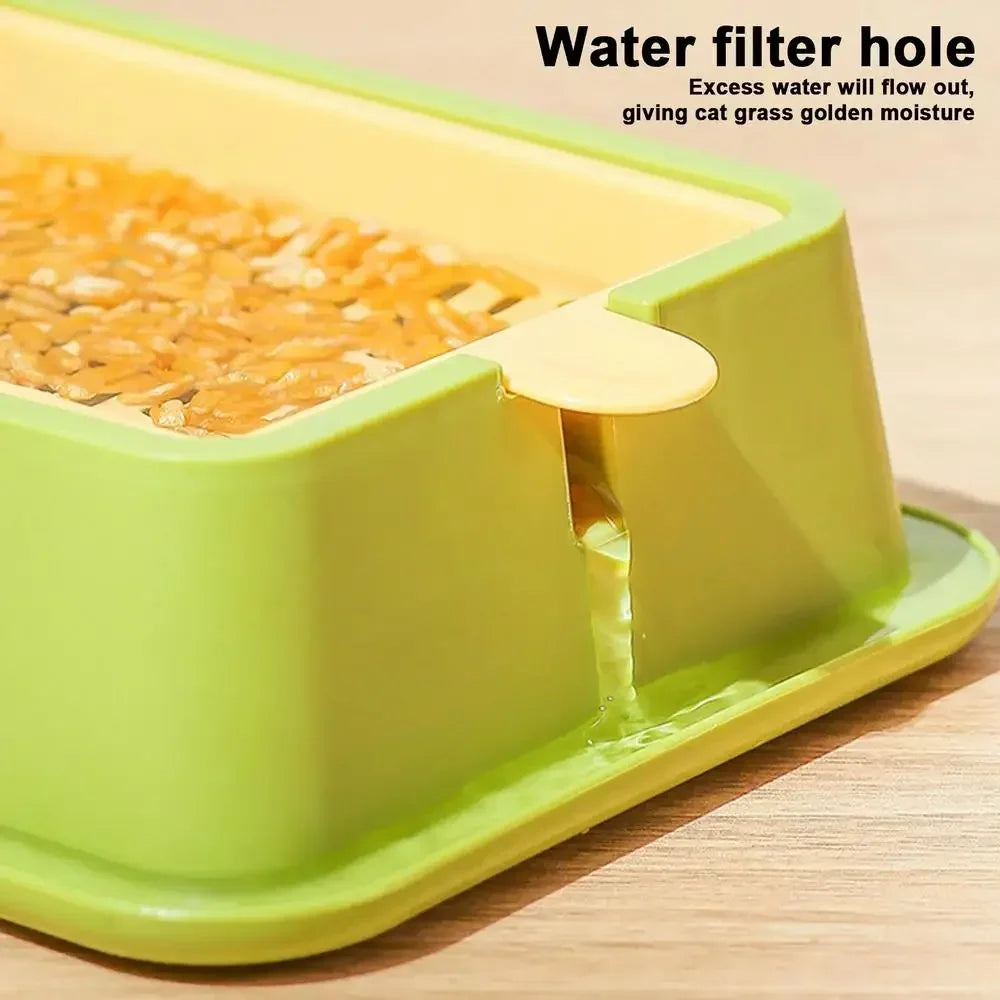 A green layered cat grass growing kit with a water filter hole, showing orange grass inside.