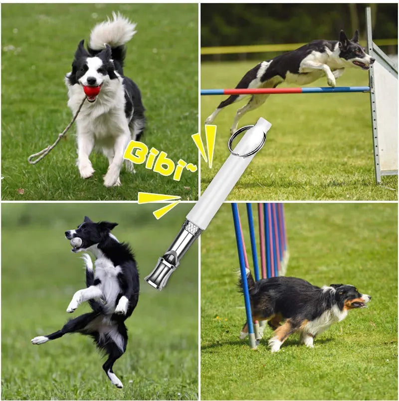 An adjustable ultrasonic dog whistle is shown being used for pet training with dogs in a grassy outdoor setting.