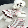 A white poodle wearing a striped dress with pink bowknot and ruffle trim.