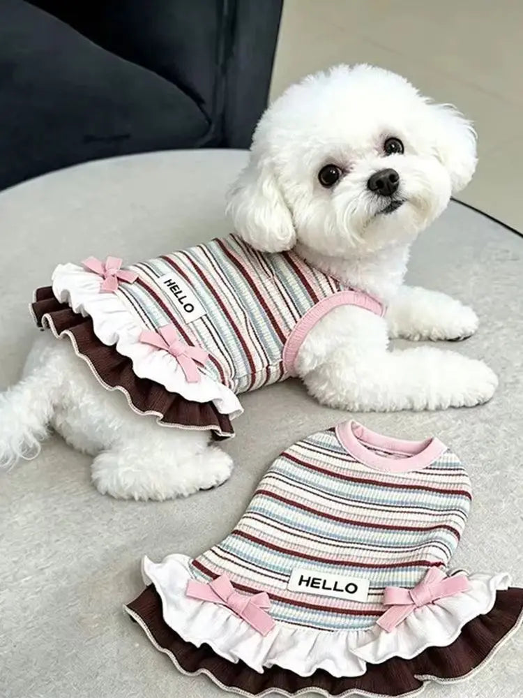 A white poodle wearing a striped dress with pink bowknot and ruffle trim.