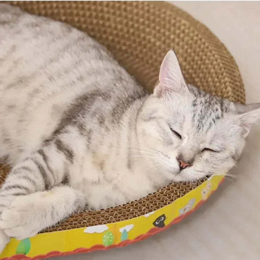 A white and gray cat is resting inside a woven scratching post for claws and furniture protection.