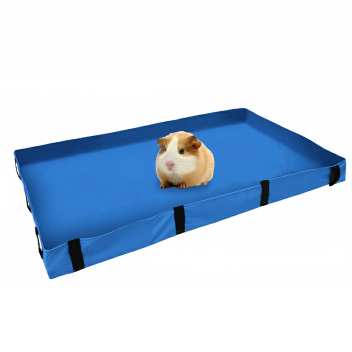 Blue PVC cage liner with black straps and a guinea pig resting inside.