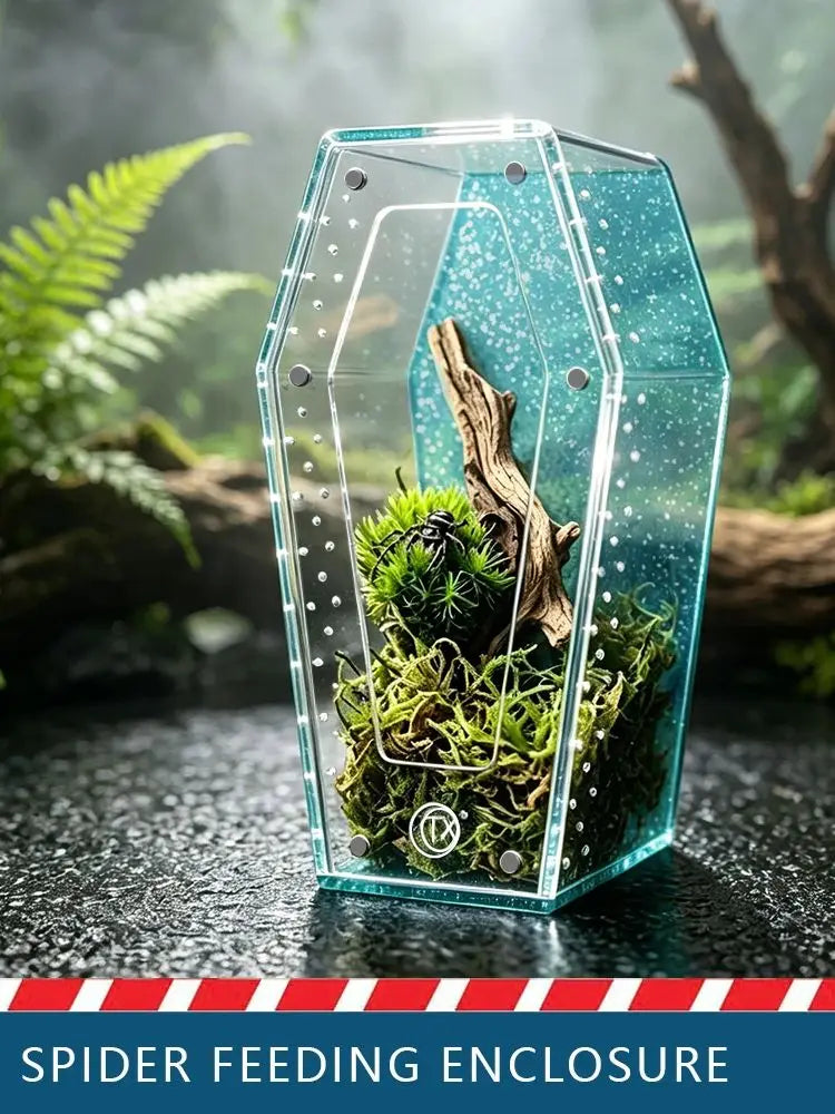 A clear acrylic spider feeding enclosure with a magnetic door sits on a dark surface amidst green foliage.