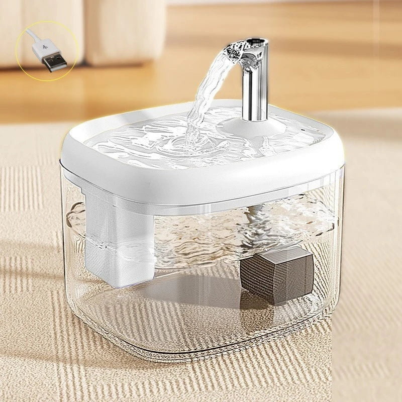 Fontaine à eau automatique en verre transparent avec bec en acier inoxydable, en train de verser de l'eau.