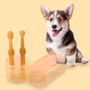A fluffy dog with brown and white fur is looking at a silicone pet toothbrush set and storage case.