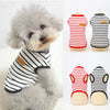 A fluffy grey dog wearing a striped sleeveless vest with red trim and black stripes.