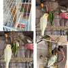 A stainless steel parrot feeder with a spiral fruit basket is hanging in a wire cage.