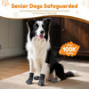 A black and white dog wearing anti-slip socks lying on a light carpet.